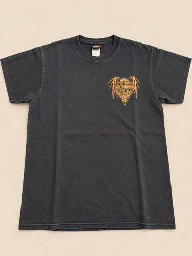 Harley davidson torino shirt - torino, t-shirt